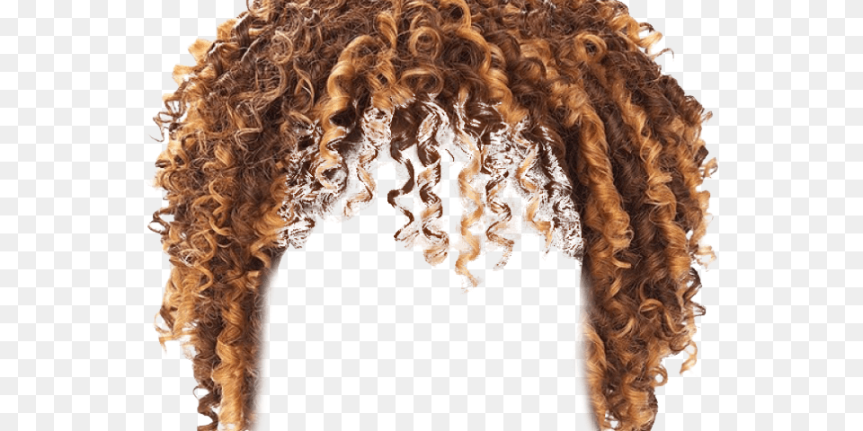 Hd Curly Long Hair Man, Person, Adult, Female, Woman Free Transparent Png