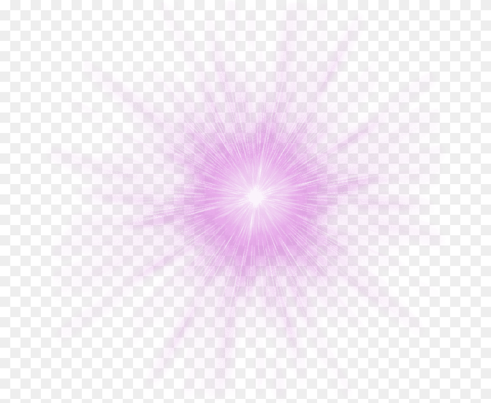 Hd Transparent Fireworks Images Transparent Pink Lens Flare, Light, Plant, Purple, Pattern Png