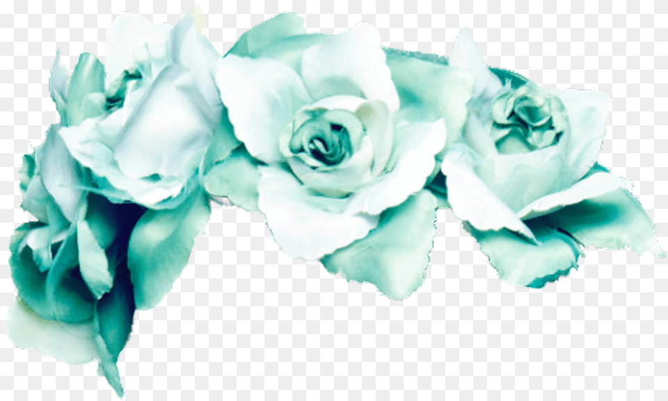 Hd Transparent Green Flower Crown, Petal, Plant, Rose, Flower Arrangement Png Image