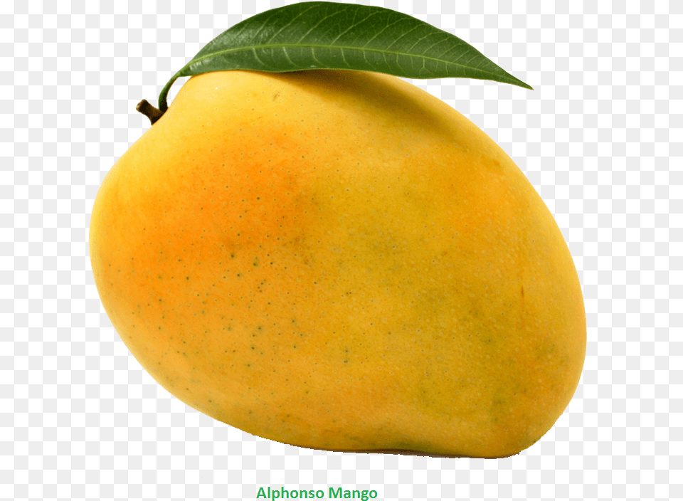 Hd Transparent Mango Clipart Mango, Food, Fruit, Plant, Produce Png Image