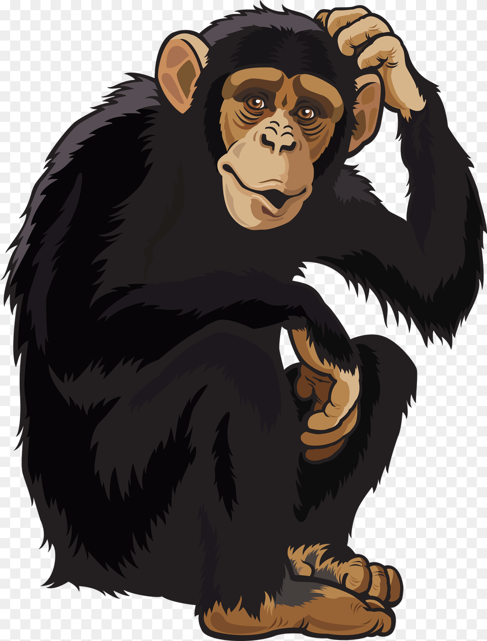 Hd Transparent Monkey Chimpanzee Clipart, Animal, Ape, Mammal, Wildlife Free Png Download