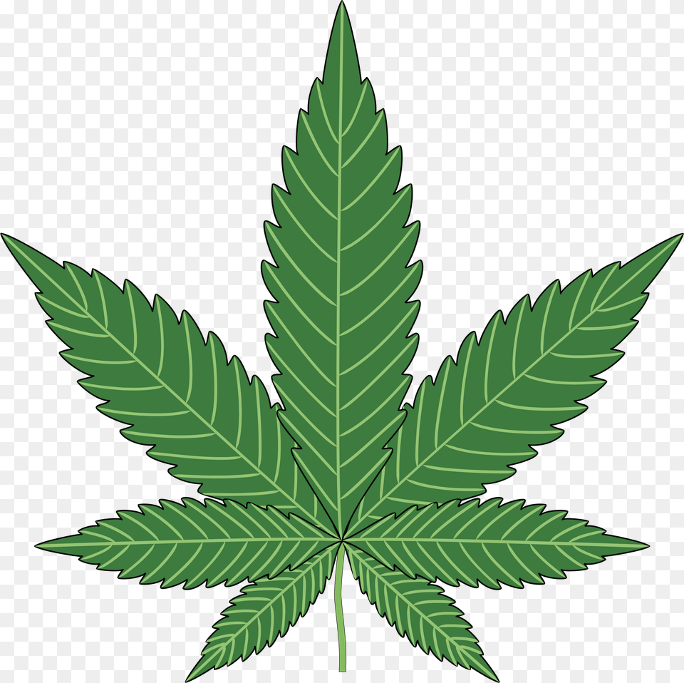 Hd Transparent Weed Cannabis, Leaf, Plant Free Png