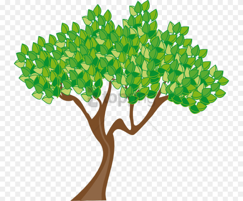 Hd Ultra Bo Tree Clipart Pack 6393 Cartoon Tree Background, Oak, Plant, Sycamore, Vegetation Free Transparent Png