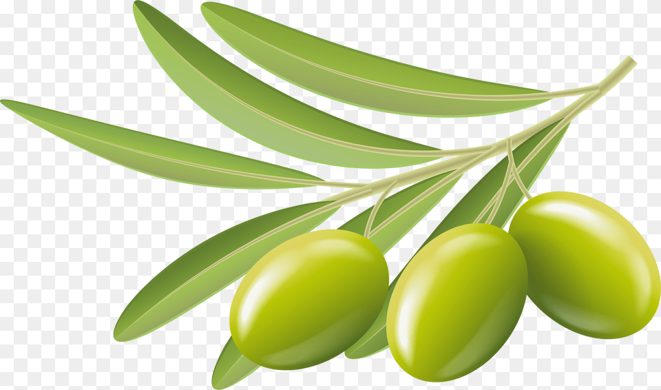 Hd Ultra Fascinating Wallpaper Olives Olives Clipart Free Png
