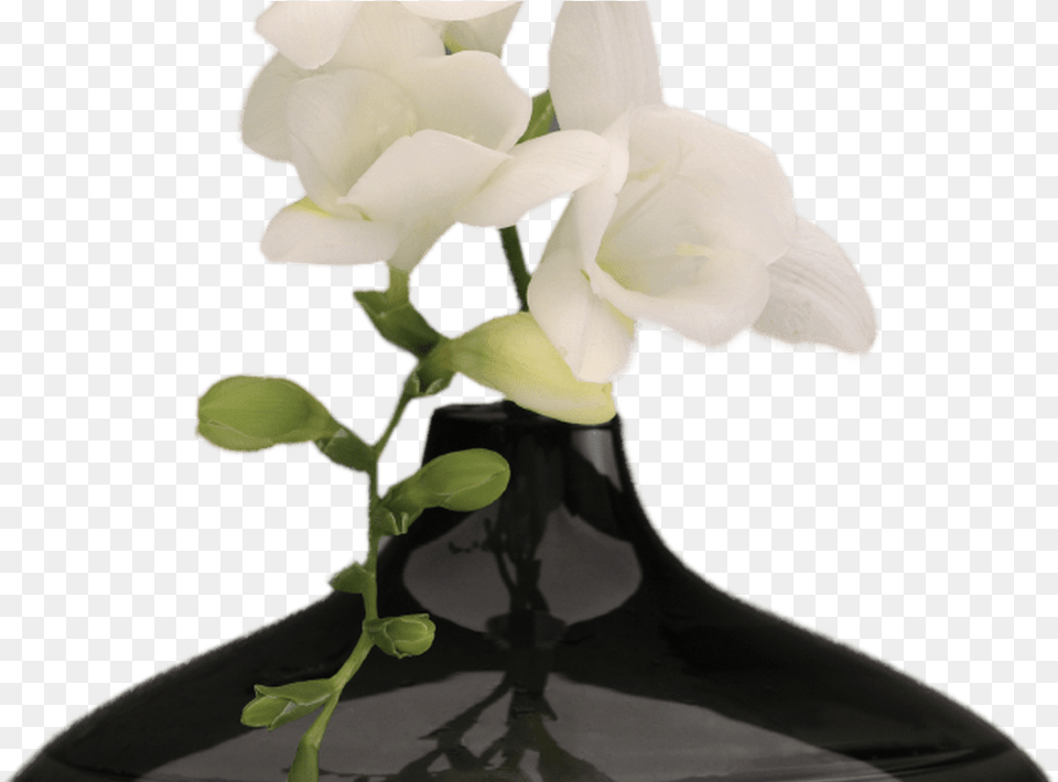 Hd Vase Of Flowers Hd Vase Of Flowerspng Black Vase With Flowers, Flower, Flower Arrangement, Jar, Plant Free Transparent Png