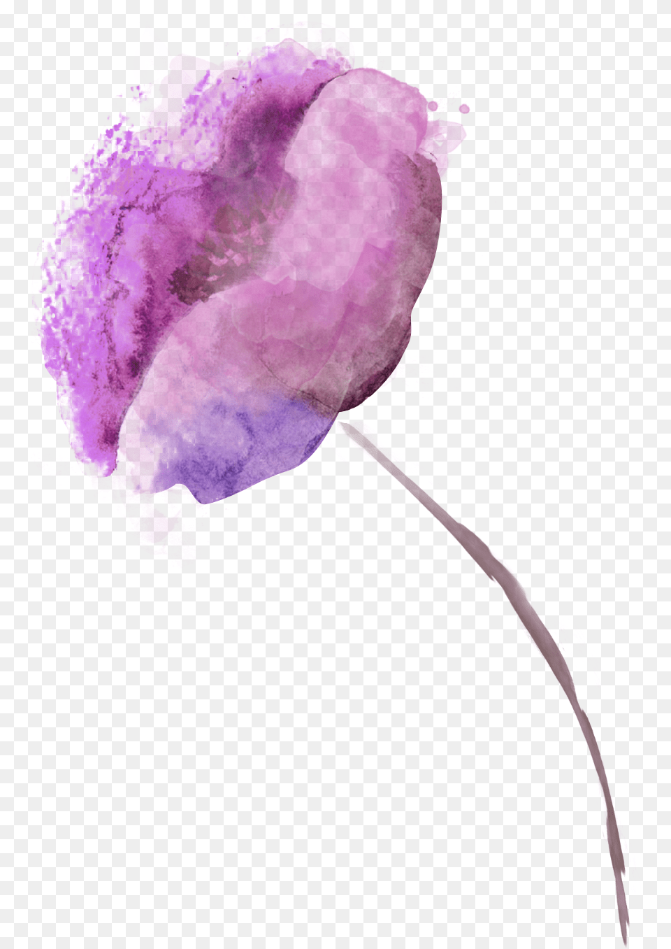 Hd Violet Unlimited Download Violetpng, Purple, Person, Flower, Plant Png