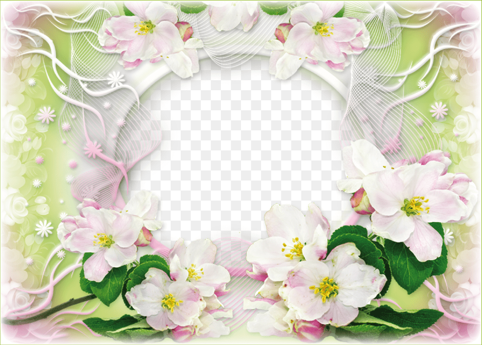 Hd Wallpaper Moldings Frames Backgrounds Background Primula, Art, Floral Design, Pattern, Graphics Free Png Download