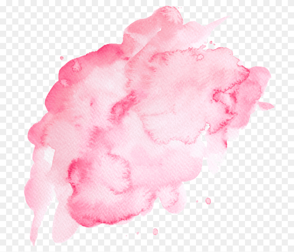 Hd Watercolor Images Pink Watercolor With Background, Flower, Plant, Rose, Stain Free Transparent Png