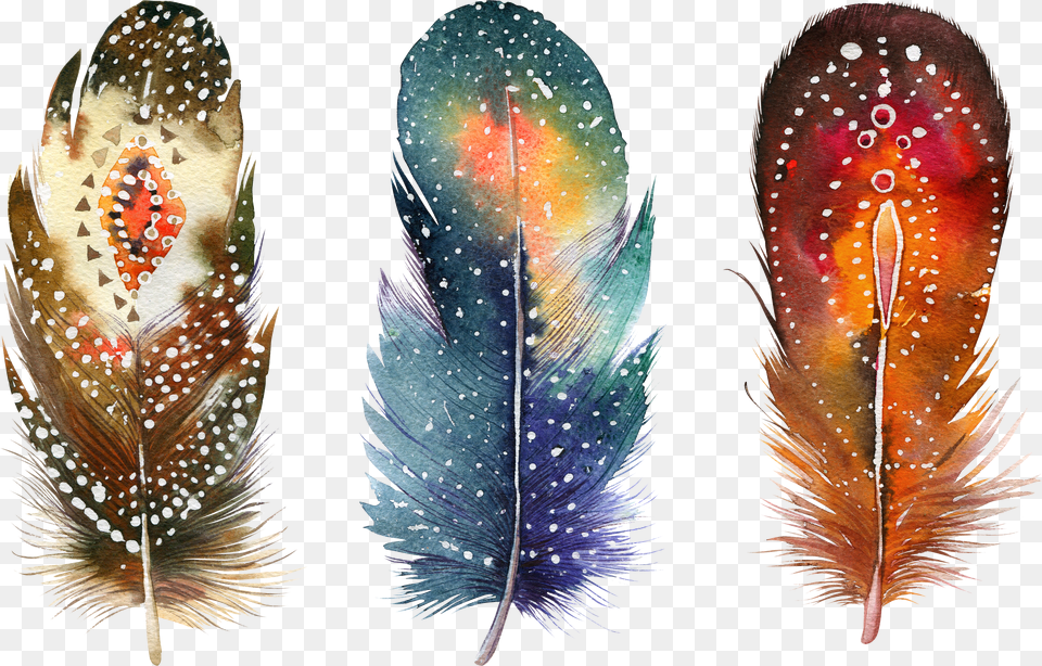 Hd Watercolor Painting Feather Drawing Png Image