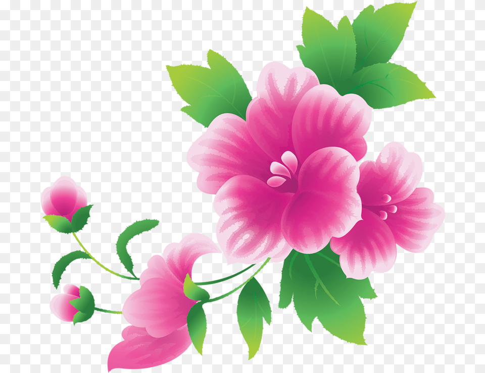 Hd Watercolour Flower Clip Art Flower Clip Arts, Geranium, Plant, Dahlia, Petal Free Png