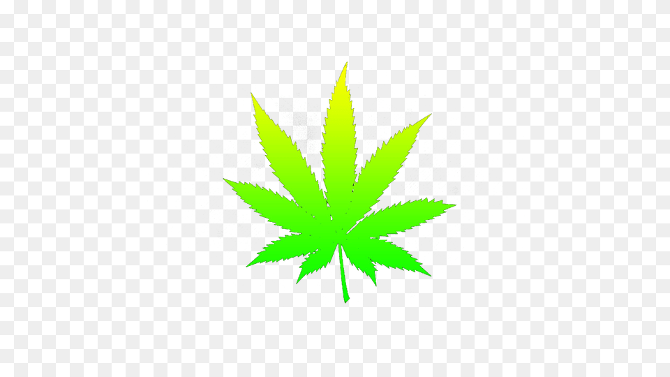 Hd Weed Weed Wallpaper White Background, Leaf, Plant, Herbal, Herbs Free Png