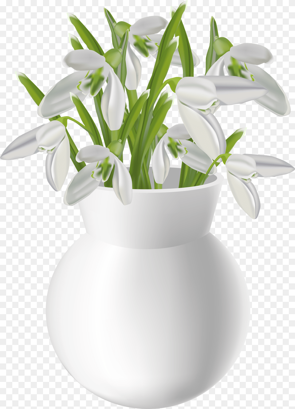 Hd White Flower Vase Flower Vase On Table Free Png