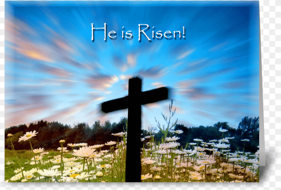 He Is Risen Greeting Card Easter Cross, Symbol, Daisy, Flower, Plant Free Png Download