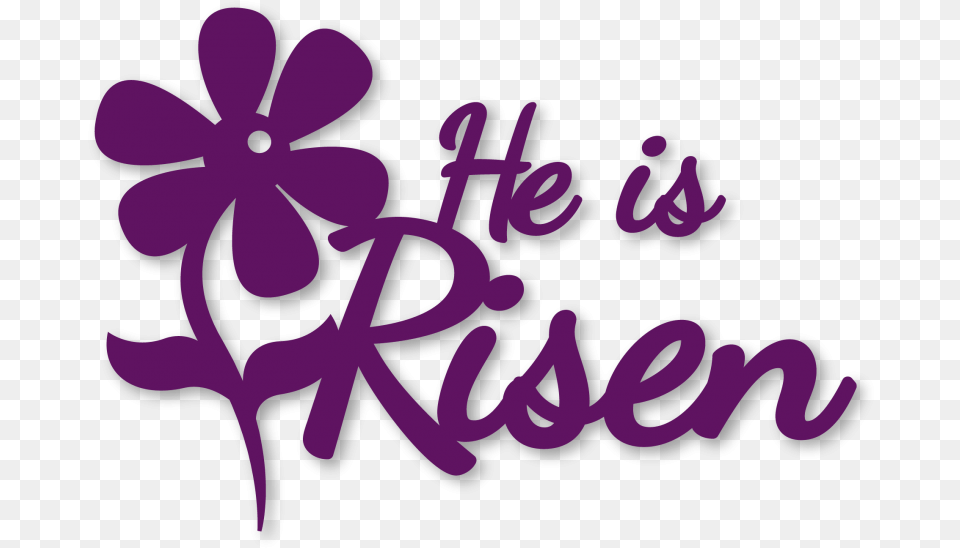 He Is Risen He Is Risen Transparent Background, Purple, Flower, Plant, Text Png Image