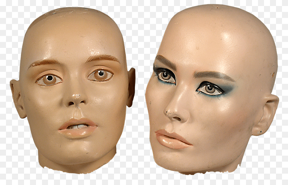 Head Adult, Female, Person, Woman Free Transparent Png