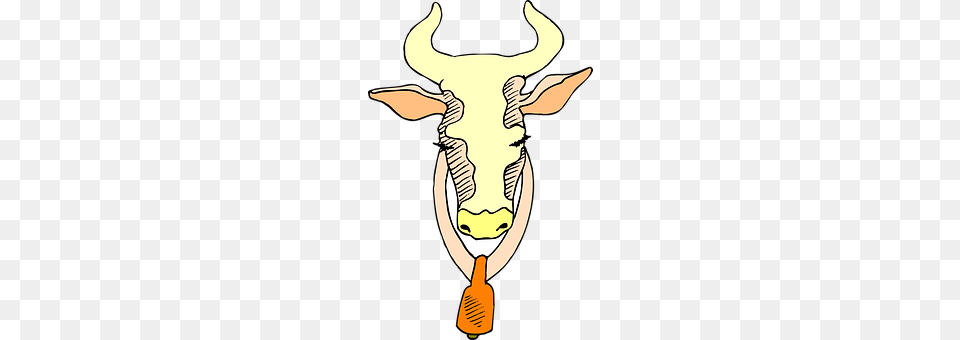 Head Animal, Bull, Mammal, Adult Free Transparent Png