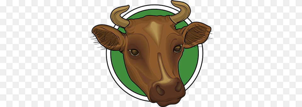 Head Animal, Mammal, Bull, Ox Free Png Download