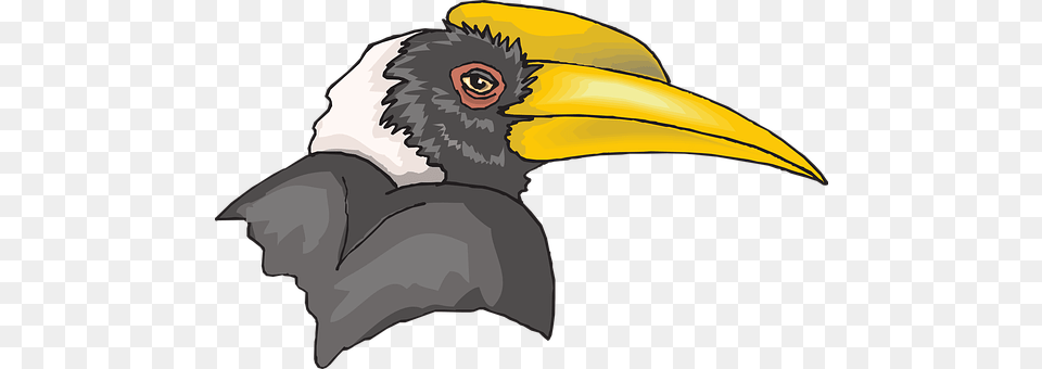 Head Animal, Beak, Bird, Person Png Image