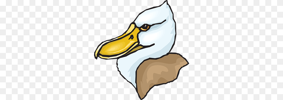 Head Animal, Beak, Bird, Person Free Transparent Png