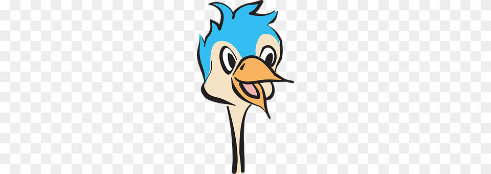 Head Animal, Beak, Bird, Art Png Image