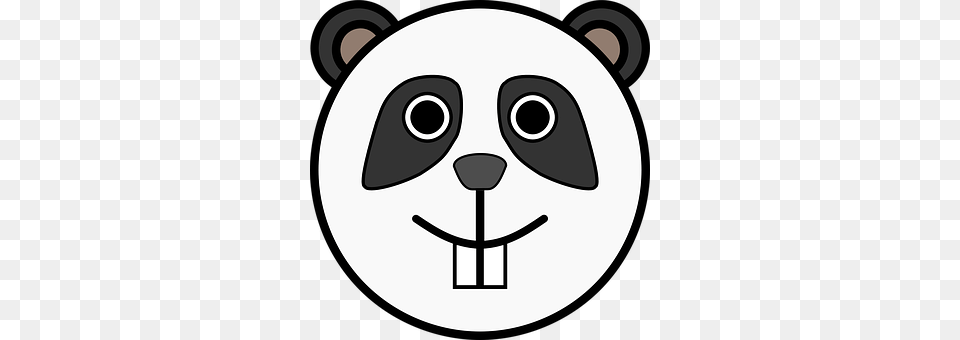 Head Disk Free Transparent Png