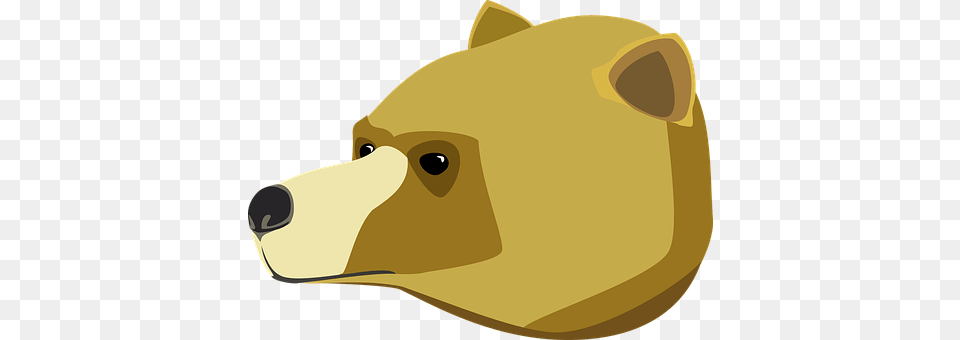 Head Animal, Bear, Mammal, Wildlife Free Png