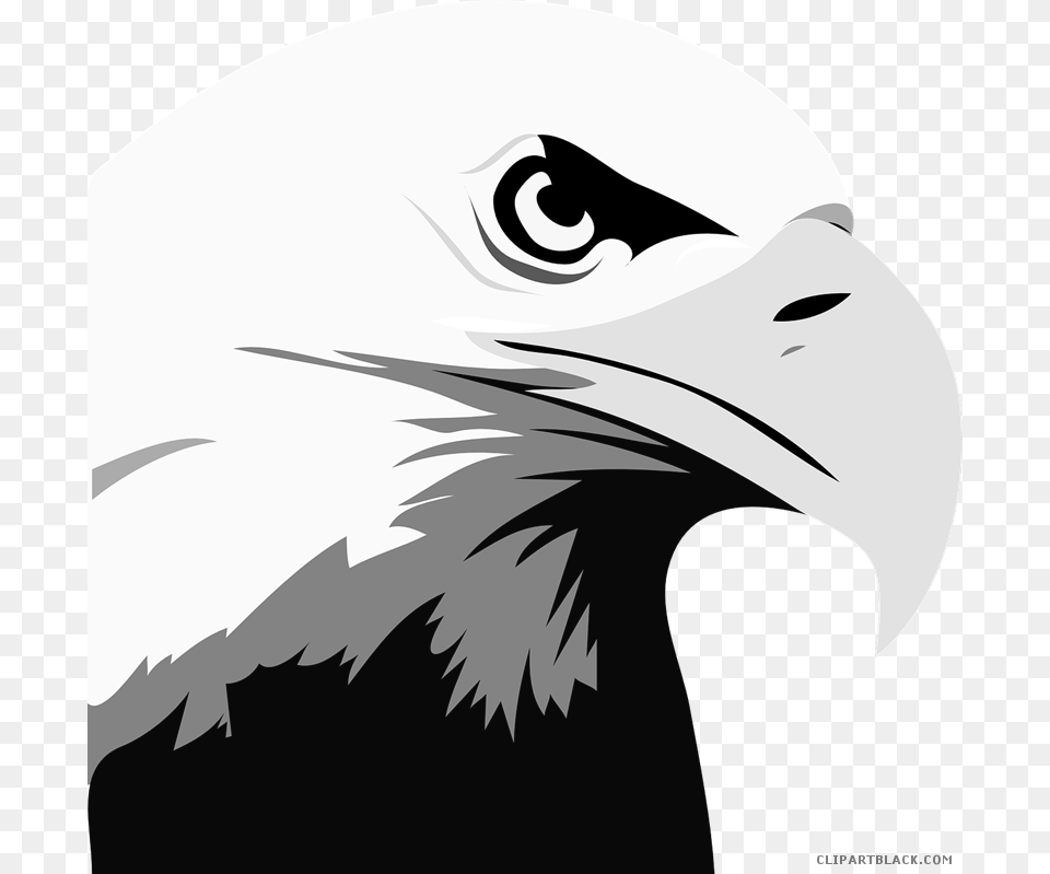 Head Animal Black White Images Clipartblack Bald Eagle Clipart, Beak, Bird, Fish, Sea Life Free Png Download