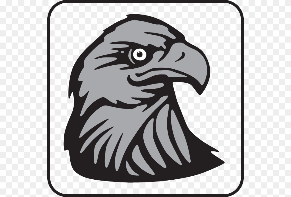 Head Bald Eagle Symbol Shower Curtain, Animal, Beak, Bird, Baby Png