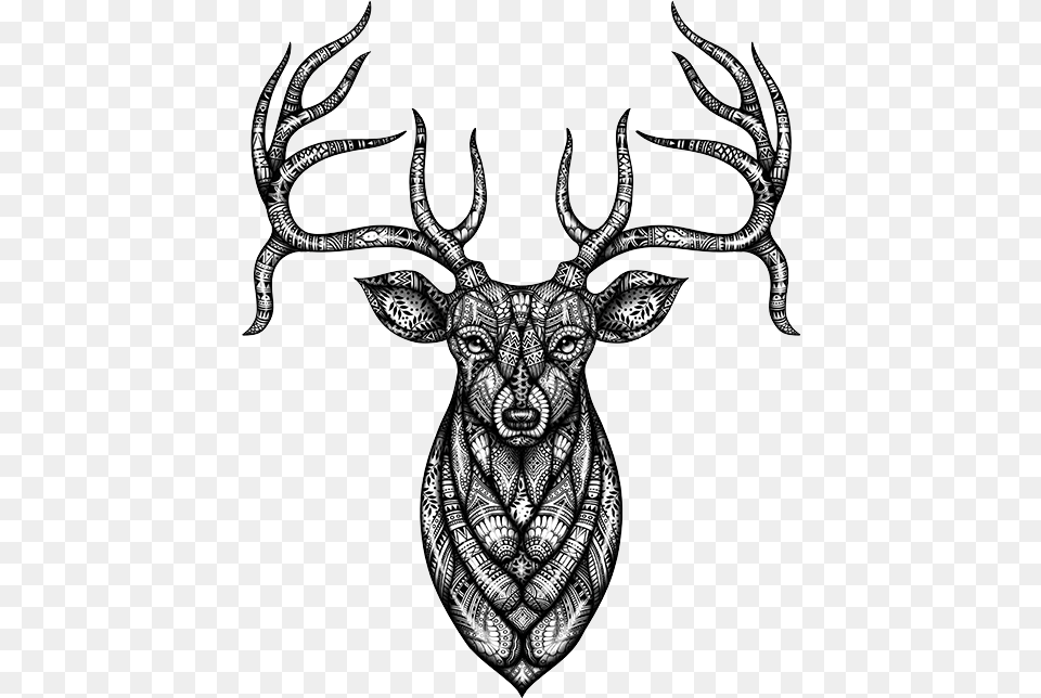 Head Bandana, Animal, Mammal, Wildlife, Deer Free Transparent Png