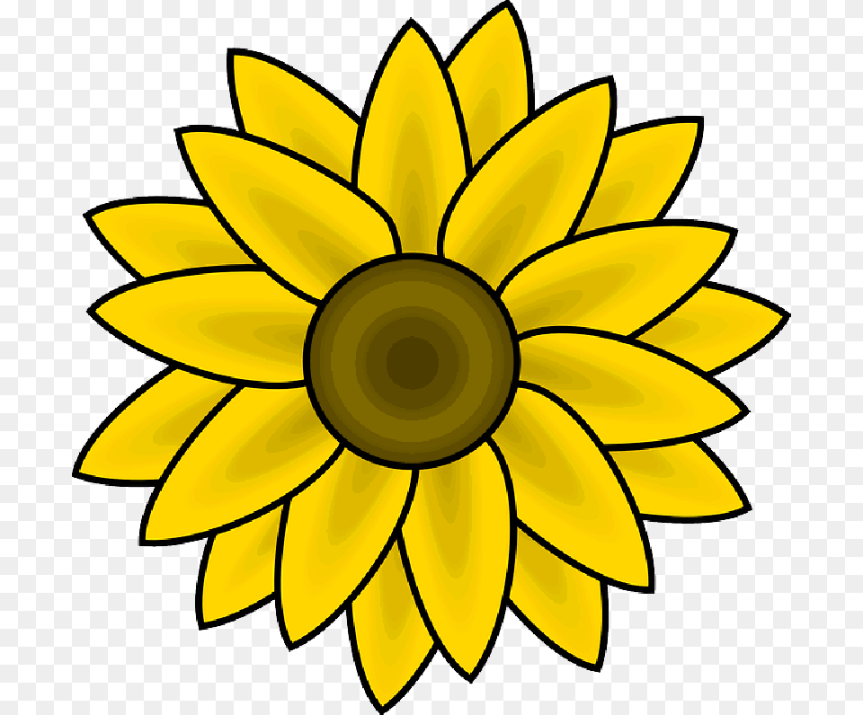 Head Black Simple Outline Yellow Drawing Sketch Sunflower Clip Art, Daisy, Flower, Plant, Dahlia Free Transparent Png