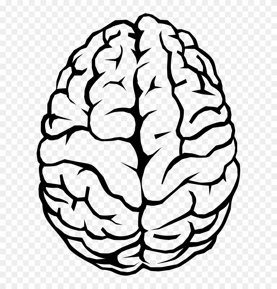 Head Brain Clip Art Loadtve, Gray Free Png Download