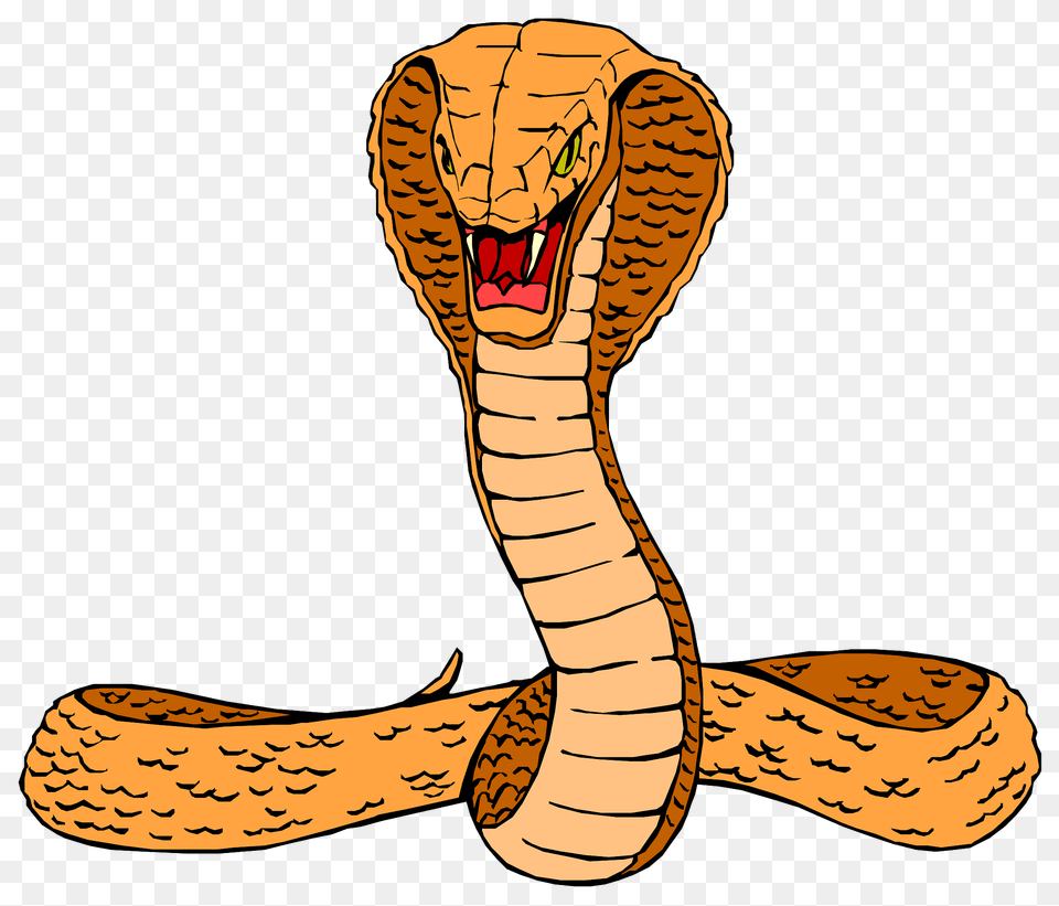 Head Clipart, Animal, Cobra, Reptile, Snake Png