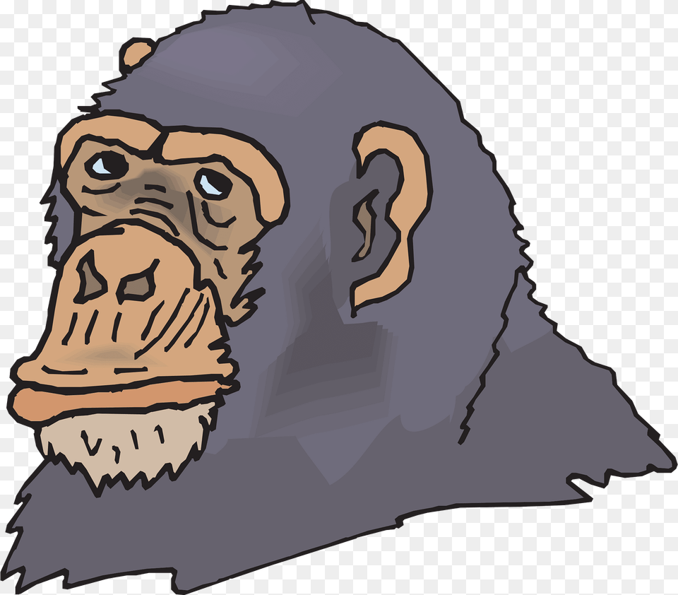 Head Clipart, Animal, Ape, Mammal, Wildlife Png Image