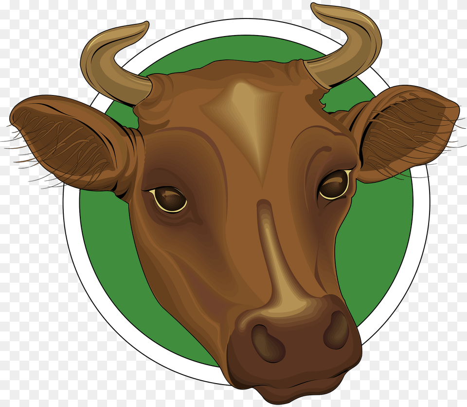 Head Clipart, Animal, Bull, Mammal, Ox Png Image
