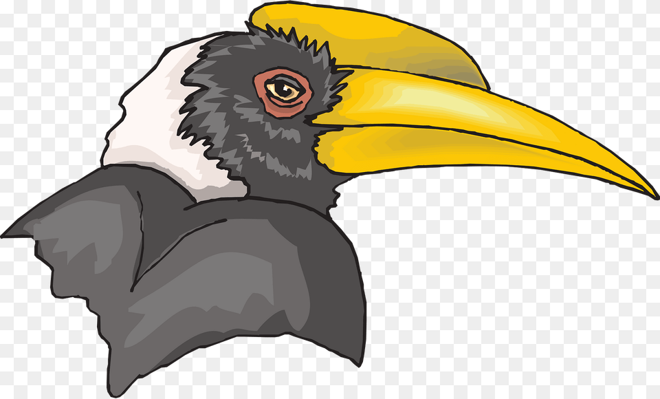 Head Clipart, Animal, Beak, Bird, Person Free Png