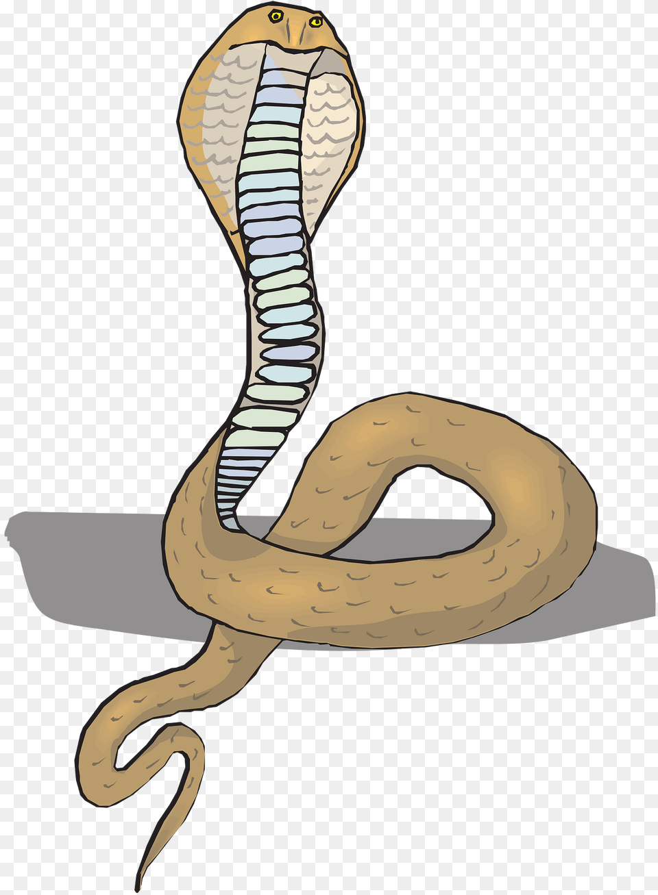 Head Clipart, Animal, Cobra, Reptile, Snake Png Image