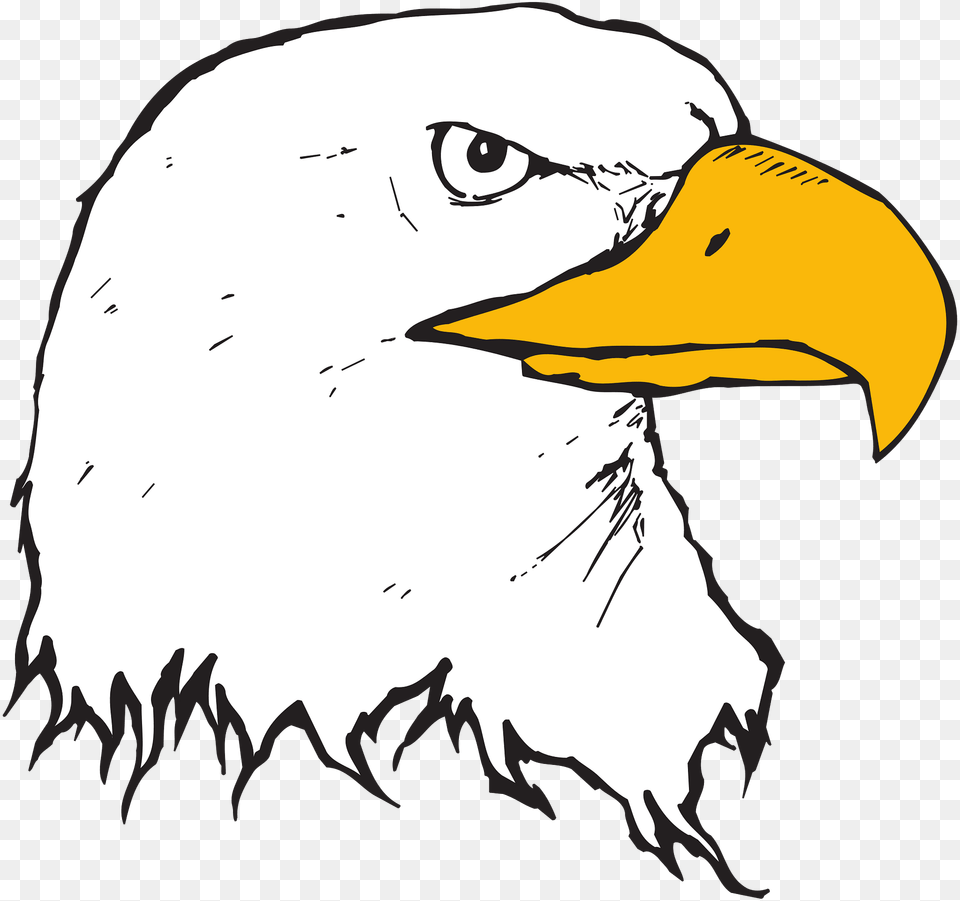 Head Clipart, Animal, Beak, Bird, Eagle Free Png
