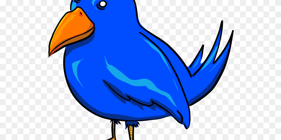 Head Clipart Blue Jay Blue Bird Clip Art, Animal, Beak, Fish, Sea Life Png Image