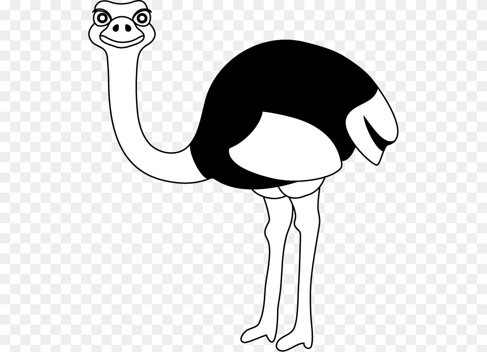 Head Clipart Emu Black And White Of Ostrich, Animal, Bird, Adult, Female Free Png Download