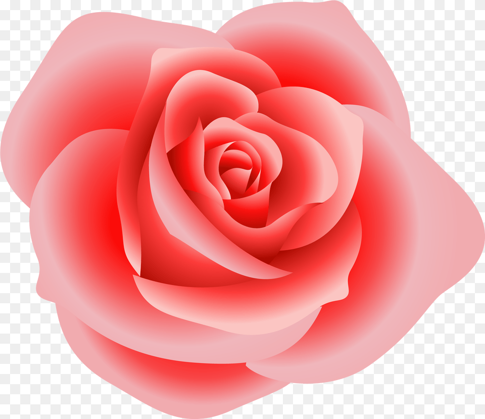 Head Clipart Rose Transparent For, Flower, Petal, Plant Free Png Download