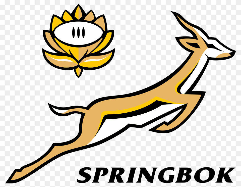 Head Clipart Springbok, Animal, Antelope, Gazelle, Mammal Free Transparent Png