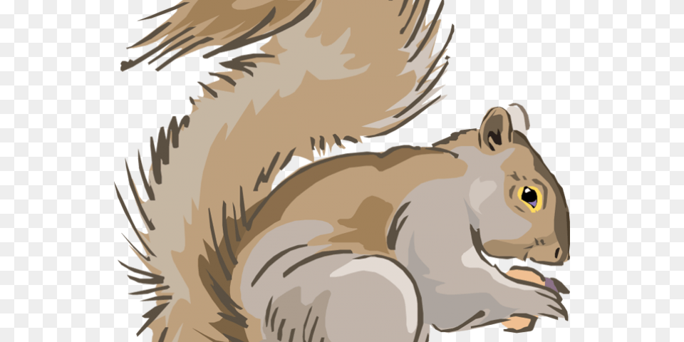 Head Clipart Squirrel Grey Squirrel Cartoon Clipart, Animal, Mammal, Rodent, Baby Free Transparent Png