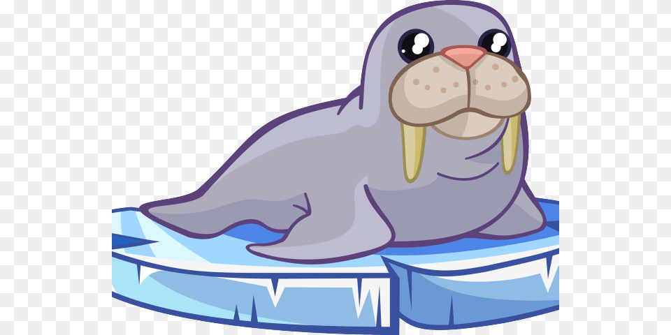 Head Clipart Walrus, Animal, Sea Life, Mammal, Fish Free Transparent Png