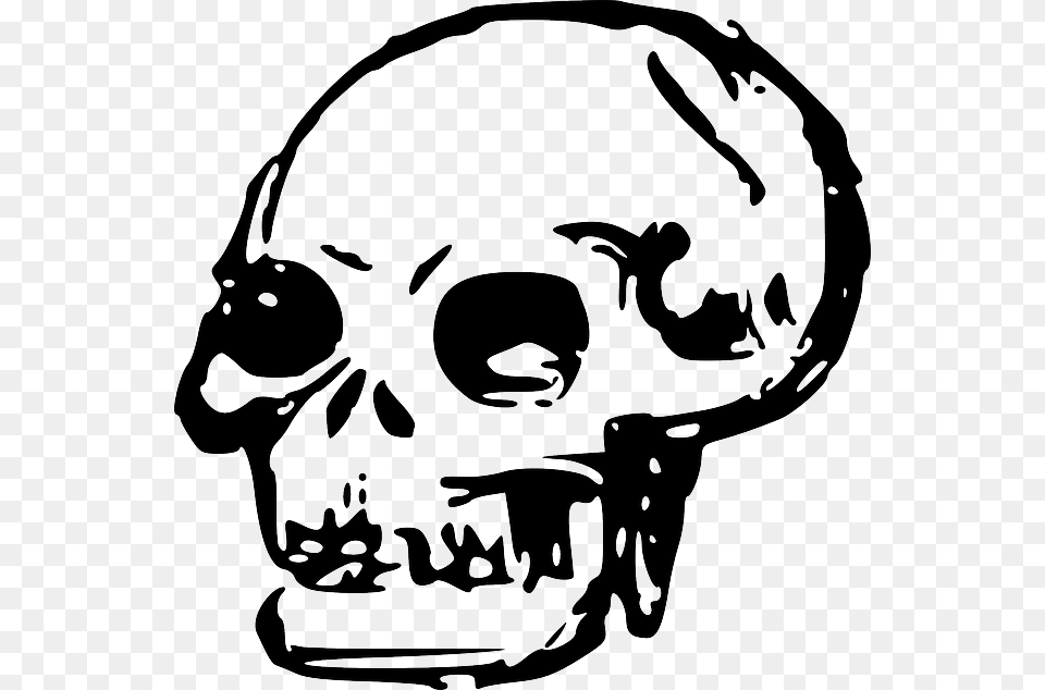 Head Dead Skull Human Bones Skulls Skull Clip Art, Stencil, Baby, Person Png