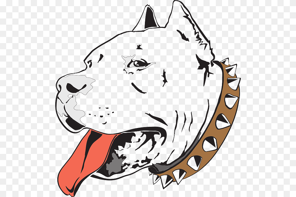 Head Dog Bull Pet Desenho Pit Bull, Baby, Person, Face Free Png Download