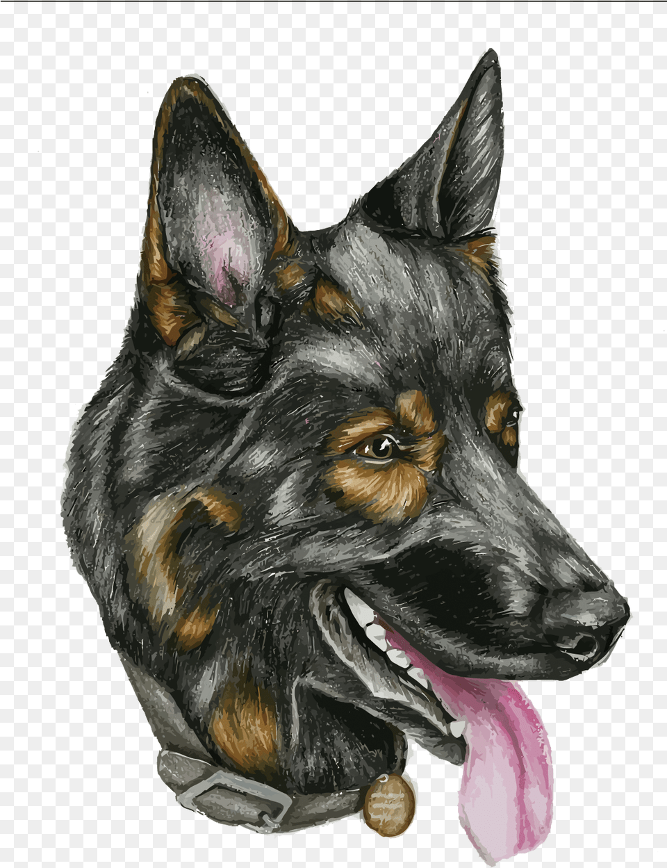 Head Dog Vector, Animal, Canine, German Shepherd, Mammal Free Png Download