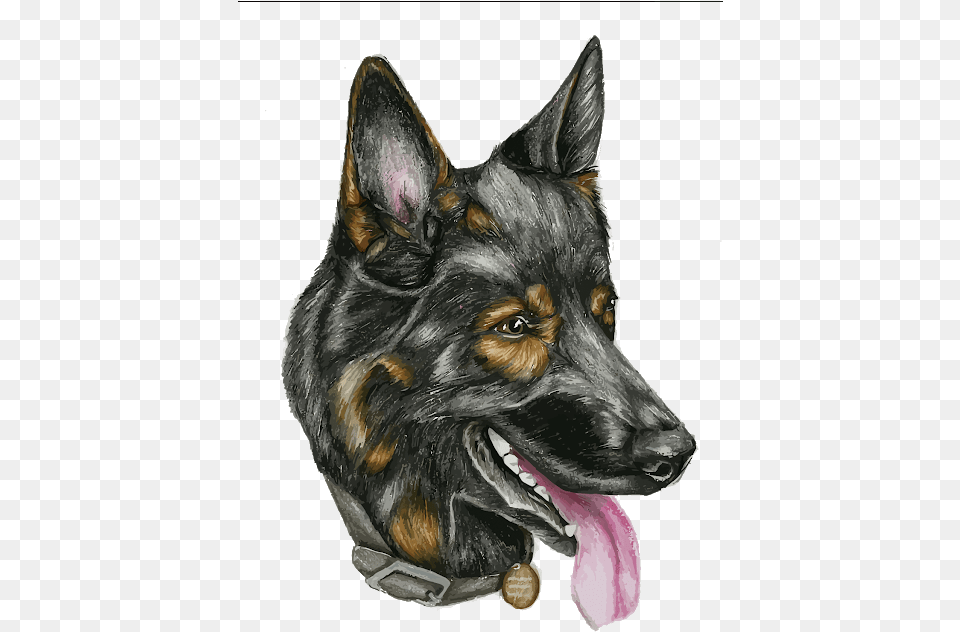 Head Dog Vector, Animal, Canine, German Shepherd, Mammal Free Png