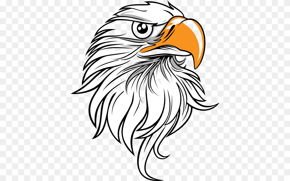 Head Eagle Clipart Explore Pictures, Animal, Beak, Bird, Person Free Png