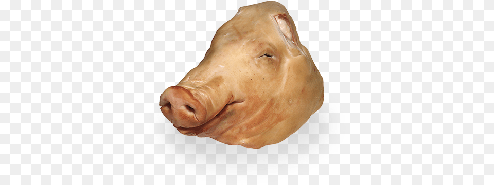 Head Linley Valley Pork Domestic Pig, Animal, Mammal, Hog, Fish Png
