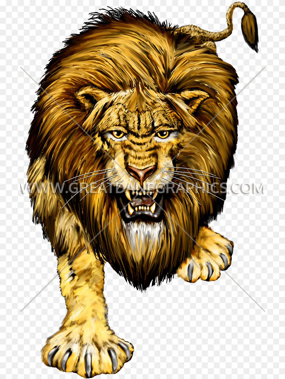 Head Lion, Animal, Mammal, Wildlife Free Transparent Png